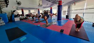 Vinyasa flow yoga in Polis