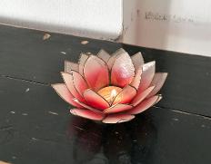 Lotus flower image